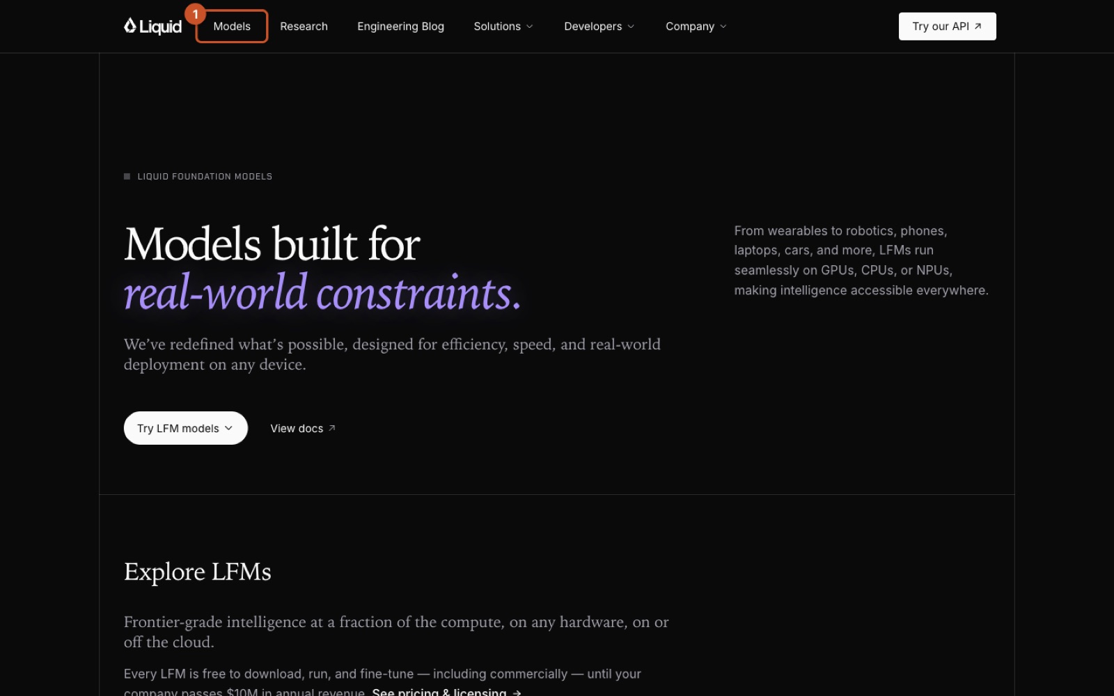 Screenshot of https://www.liquid.ai/models